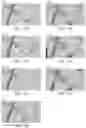 Fig. 11 - Antioxidant and Use Thereof