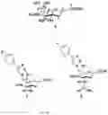 Fig. 02 - METHODS OF MODULATING LEUKOCYTES ACTIVATION AND THROMBOCYTE CLEARANCE WITH INHIBITORS OF SPECIFIC NEURAMINIDASE ISOENZYMES