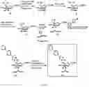 Fig. 05 - METHODS OF MODULATING LEUKOCYTES ACTIVATION AND THROMBOCYTE CLEARANCE WITH INHIBITORS OF SPECIFIC NEURAMINIDASE ISOENZYMES
