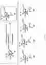 Fig. 06 - METHODS OF MODULATING LEUKOCYTES ACTIVATION AND THROMBOCYTE CLEARANCE WITH INHIBITORS OF SPECIFIC NEURAMINIDASE ISOENZYMES