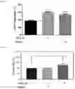 Fig. 10 - METHODS OF MODULATING LEUKOCYTES ACTIVATION AND THROMBOCYTE CLEARANCE WITH INHIBITORS OF SPECIFIC NEURAMINIDASE ISOENZYMES