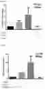 Fig. 12 - METHODS OF MODULATING LEUKOCYTES ACTIVATION AND THROMBOCYTE CLEARANCE WITH INHIBITORS OF SPECIFIC NEURAMINIDASE ISOENZYMES