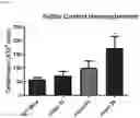 Fig. 19 - METHODS OF MODULATING LEUKOCYTES ACTIVATION AND THROMBOCYTE CLEARANCE WITH INHIBITORS OF SPECIFIC NEURAMINIDASE ISOENZYMES