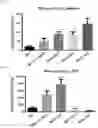 Fig. 21 - METHODS OF MODULATING LEUKOCYTES ACTIVATION AND THROMBOCYTE CLEARANCE WITH INHIBITORS OF SPECIFIC NEURAMINIDASE ISOENZYMES