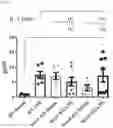 Fig. 32 - METHODS OF MODULATING LEUKOCYTES ACTIVATION AND THROMBOCYTE CLEARANCE WITH INHIBITORS OF SPECIFIC NEURAMINIDASE ISOENZYMES