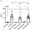 Fig. 37 - METHODS OF MODULATING LEUKOCYTES ACTIVATION AND THROMBOCYTE CLEARANCE WITH INHIBITORS OF SPECIFIC NEURAMINIDASE ISOENZYMES