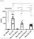 Fig. 38 - METHODS OF MODULATING LEUKOCYTES ACTIVATION AND THROMBOCYTE CLEARANCE WITH INHIBITORS OF SPECIFIC NEURAMINIDASE ISOENZYMES