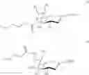 Fig. 400 - METHODS OF MODULATING LEUKOCYTES ACTIVATION AND THROMBOCYTE CLEARANCE WITH INHIBITORS OF SPECIFIC NEURAMINIDASE ISOENZYMES