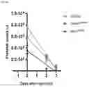 Fig. 41 - METHODS OF MODULATING LEUKOCYTES ACTIVATION AND THROMBOCYTE CLEARANCE WITH INHIBITORS OF SPECIFIC NEURAMINIDASE ISOENZYMES