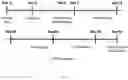 Fig. 02 - Compounds and their use as therapeutically active substances in the treatment and/or reducing signs or symptoms of diseases involving the retinal pigment epithelium