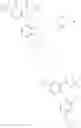 Fig. 102 - ESTERS AND CARBAMATES AS MODULATORS OF SODIUM CHANNELS