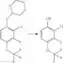 Fig. 88 - ESTERS AND CARBAMATES AS MODULATORS OF SODIUM CHANNELS