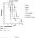 Fig. 03 - METHODS AND COMPOSITIONS FOR GENETIC MODULATION OF TUMOR MICROENVIRONMENTS