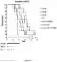 Fig. 04 - METHODS AND COMPOSITIONS FOR GENETIC MODULATION OF TUMOR MICROENVIRONMENTS