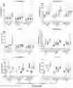 Fig. 18 - METHODS AND COMPOSITIONS FOR GENETIC MODULATION OF TUMOR MICROENVIRONMENTS