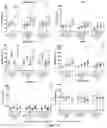 Fig. 25 - METHODS AND COMPOSITIONS FOR GENETIC MODULATION OF TUMOR MICROENVIRONMENTS