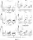 Fig. 26 - METHODS AND COMPOSITIONS FOR GENETIC MODULATION OF TUMOR MICROENVIRONMENTS