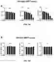 Fig. 02 - Composition containing salsolinol for treating liver cancer