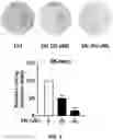 Fig. 03 - Composition containing salsolinol for treating liver cancer