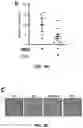 Fig. 10 - Composition containing salsolinol for treating liver cancer