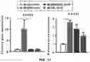 Fig. 15 - Composition containing salsolinol for treating liver cancer
