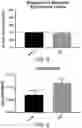 Fig. 05 - Methods and compositions for maintaining opioid efficacy in the treatment of pain