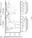 Fig. 05 - Regulation of eIF4E activity for migraine therapy