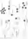 Fig. 06 - THERAPY AND PREVENTION OF PRION PROTEIN COMPLEX INFECTIONS IN NON-HUMAN ANIMALS