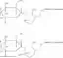 Fig. 23 - COMPOUNDS, METHODS, AND TREATMENTS FOR ABNORMAL SIGNALING PATHWAYS FOR PRENATAL AND POSTNATAL DEVELOPMENT