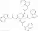 Fig. 211 - Acylated active agents and methods of their use for the treatment of autoimmune disorders