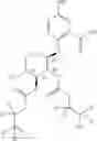 Fig. 268 - Acylated active agents and methods of their use for the treatment of autoimmune disorders