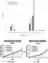 Fig. 03 - REVERSE TRANSCRIPTASE BLOCKING AGENTS AND METHODS OF USING THE SAME