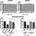 Fig. 10 - REVERSE TRANSCRIPTASE BLOCKING AGENTS AND METHODS OF USING THE SAME