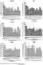 Fig. 11 - REVERSE TRANSCRIPTASE BLOCKING AGENTS AND METHODS OF USING THE SAME