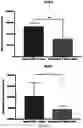 Fig. 18 - REVERSE TRANSCRIPTASE BLOCKING AGENTS AND METHODS OF USING THE SAME