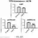 Fig. 22 - REVERSE TRANSCRIPTASE BLOCKING AGENTS AND METHODS OF USING THE SAME