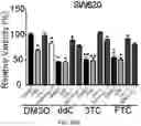 Fig. 35 - REVERSE TRANSCRIPTASE BLOCKING AGENTS AND METHODS OF USING THE SAME