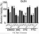 Fig. 36 - REVERSE TRANSCRIPTASE BLOCKING AGENTS AND METHODS OF USING THE SAME