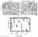 Fig. 44 - REVERSE TRANSCRIPTASE BLOCKING AGENTS AND METHODS OF USING THE SAME