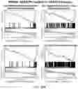 Fig. 48 - REVERSE TRANSCRIPTASE BLOCKING AGENTS AND METHODS OF USING THE SAME