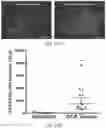 Fig. 59 - REVERSE TRANSCRIPTASE BLOCKING AGENTS AND METHODS OF USING THE SAME