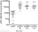 Fig. 61 - REVERSE TRANSCRIPTASE BLOCKING AGENTS AND METHODS OF USING THE SAME