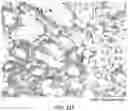 Fig. 62 - REVERSE TRANSCRIPTASE BLOCKING AGENTS AND METHODS OF USING THE SAME