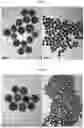 Fig. 03 - PHARMACEUTICAL COMPOSITION FOR PREVENTING OR TREATING ATOPIC DISEASES
