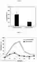 Fig. 16 - PHARMACEUTICAL COMPOSITION FOR PREVENTING OR TREATING ATOPIC DISEASES