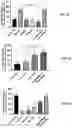 Fig. 14 - Engineered Extracellular Vesicle Delivery Systems and Uses Thereof