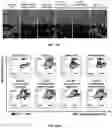Fig. 27 - Engineered Extracellular Vesicle Delivery Systems and Uses Thereof
