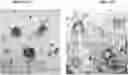 Fig. 01 - APPARATUS AND METHOD FOR INACTIVATIVING VIRUSES AND PATHOGENS IN CONVALESCENT PLASMA UNITS FROM RECOVERED COVID-19 PATIENTS