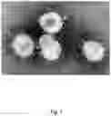 Fig. 02 - APPARATUS AND METHOD FOR INACTIVATIVING VIRUSES AND PATHOGENS IN CONVALESCENT PLASMA UNITS FROM RECOVERED COVID-19 PATIENTS