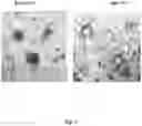 Fig. 03 - APPARATUS AND METHOD FOR INACTIVATIVING VIRUSES AND PATHOGENS IN CONVALESCENT PLASMA UNITS FROM RECOVERED COVID-19 PATIENTS
